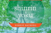 Shinrin-Yoku (Bagno di Foresta): La Terapia Giapponese Anti-Stress