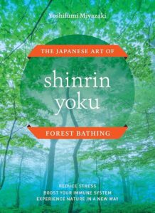 Shinrin-Yoku (Bagno di Foresta): La Terapia Giapponese Anti-Stress