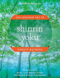 Shinrin-Yoku (Bagno di Foresta): La Terapia Giapponese Anti-Stress