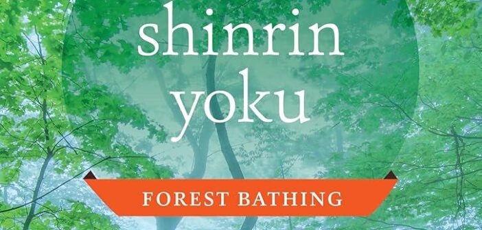 Shinrin-Yoku (Bagno di Foresta): La Terapia Giapponese Anti-Stress