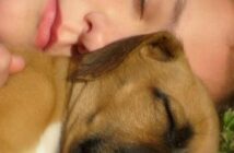 Il Potere Terapeutico del Contatto con gli Animali (Pet Therapy)