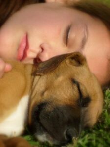 Il Potere Terapeutico del Contatto con gli Animali (Pet Therapy)