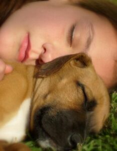 Il Potere Terapeutico del Contatto con gli Animali (Pet Therapy)