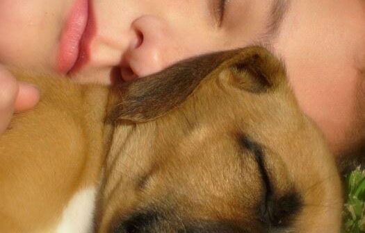 Il Potere Terapeutico del Contatto con gli Animali (Pet Therapy)