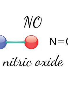 L’Ossido Nitrico: Come Aumentarlo per la Salute Cardiovascolare
