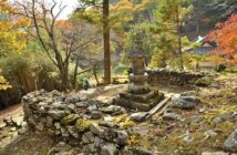 Zeolite Clinoptilolite: Il Minerale Vulcanico Che Disintossica