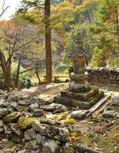 Zeolite Clinoptilolite: Il Minerale Vulcanico Che Disintossica