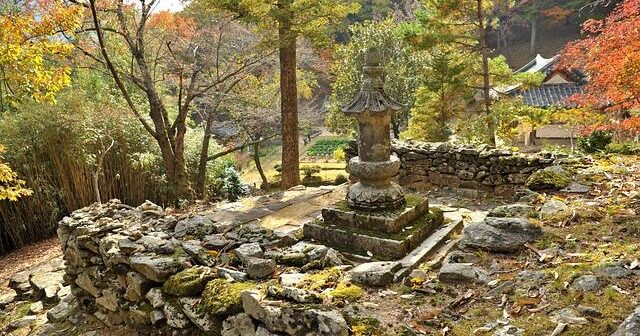 Zeolite Clinoptilolite: Il Minerale Vulcanico Che Disintossica