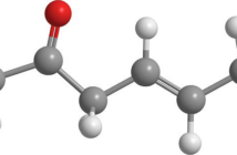 I Chetoni Esogeni: A Cosa Servono e Quando Usarli Correttamente