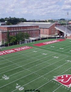 La Kinesiologia Emozionale: Liberare le Emozioni Intrappolate