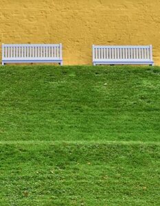 Il Potere del Silenzio: I Benefici Scientifici per il Tuo Cervello