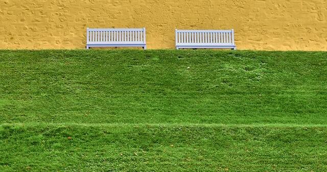 Il Potere del Silenzio: I Benefici Scientifici per il Tuo Cervello