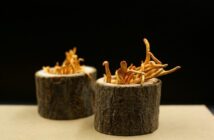 Funghi Medicinali: Reishi, Cordyceps e Lion’s Mane a Confronto