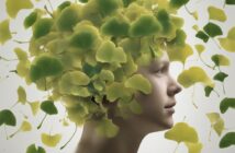 Ginkgo Biloba: migliorare la memoria e la circolazione cerebrale