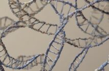 Longevità e Telomeri: come lo stile di vita protegge il tuo DNA