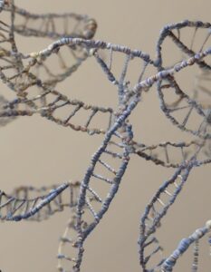 Longevità e Telomeri: come lo stile di vita protegge il tuo DNA