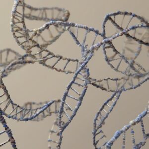 Longevità e Telomeri: come lo stile di vita protegge il tuo DNA
