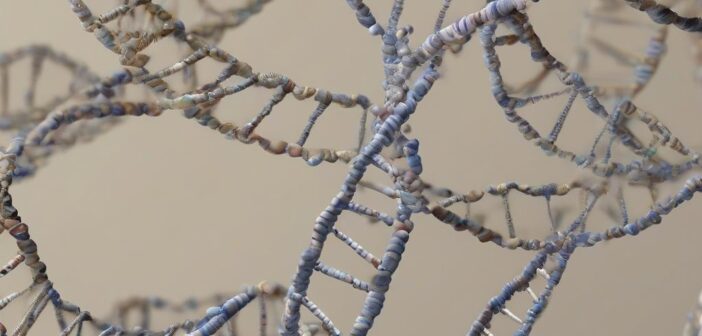 Longevità e Telomeri: come lo stile di vita protegge il tuo DNA
